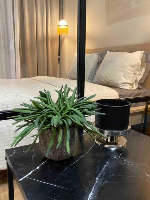 Apartment Dream Romantic Living