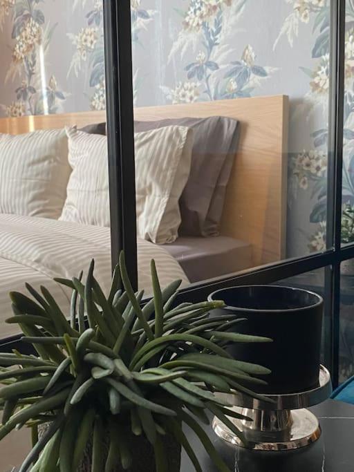 Apartment Dream Romantic Living Serres